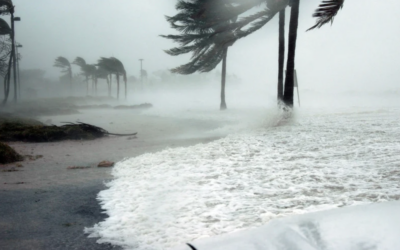Does Homeowners Insurance Actually Pay for Evacuations?