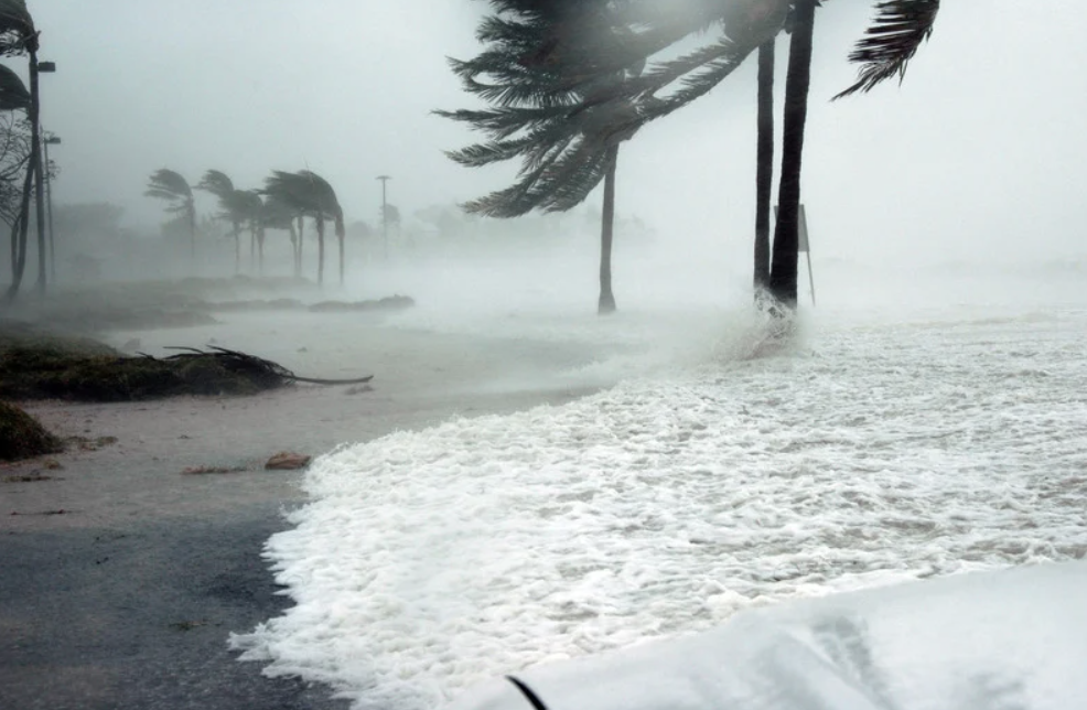 Does Homeowners Insurance Actually Pay for Evacuations?